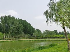 -东郊湿地公园