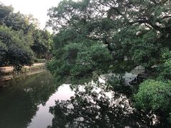 -小洲村