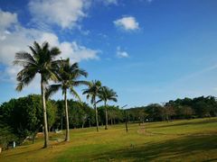 -三亚珠江南田温泉度假区