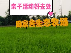 -迪茵湖田家舍生态农场