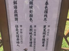 -曹州牡丹园