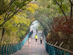 -上海吴淞炮台湾国家湿地公园