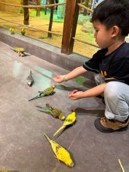 -酷嗒动物文化乐园(cutezoo西溪乐天城店)