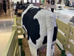 -红星前进面包牛奶公司(君太店)