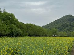 -八卦田遗址公园