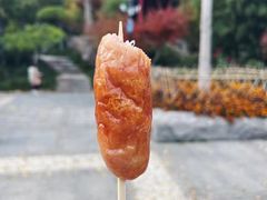 -竹子庵公园