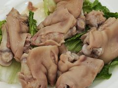 -丁老爷子苏香圆