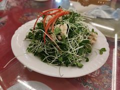 鲜桃仁香椿苗-玉华台饭庄(裕中西里小区店)
