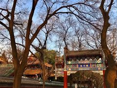 -北京国子监胡同
