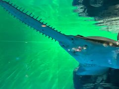 -上海海洋水族馆-停车场