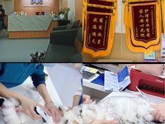 -康成宠物医院24H·CT·核磁共振