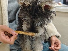 -美美宠物诊疗中心·异宠·骨科(滨江东信分院)