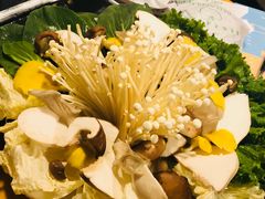 -大理老字号·舟渔的鱼野生菌海景餐厅(双廊店)