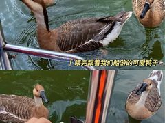 -沈阳鸟岛