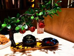 -唐猫庭院·千年陕菜(大唐不夜城店)