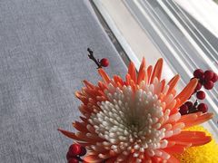 -南堂馆·新川菜(春熙路店)