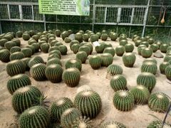 -广东茂名森林公园