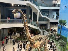 -辽宁古生物博物馆