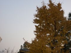 -江南大学(蠡湖校区)