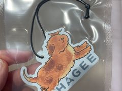 -霸王茶姬(上海浦东机场店)