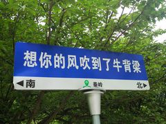 -牛背梁国家森林公园