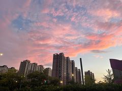 -哥老官重庆美蛙鱼头(五角场合生汇店)