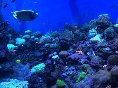 -成都浩海立方海洋公园