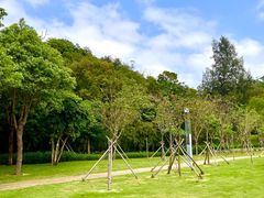 -野狸岛