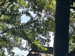 -富春桃源风景区