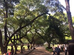 -中山大学学者灵芝(园南路店)