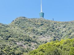 -梧桐山风景名胜区
