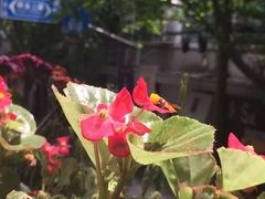 -Pasha帕夏土耳其餐厅(南昌路店)