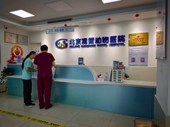 -北京观赏动物医院·24小时大型综合·猫专科·异宠专科