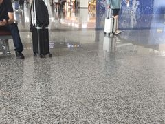 -石家庄正定国际机场-T2航站楼