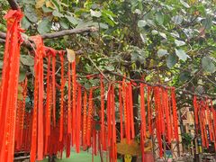 -呀路古热带植物园