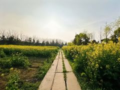 -金稼园·金平湖农家菜