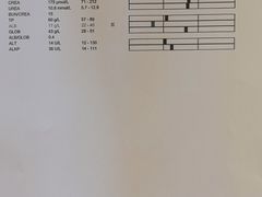 -爱侣宠医·鹦鹉专科·小型哺乳类·异宠专科(灵石路店)