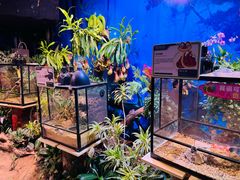 -正佳雨林生态植物园