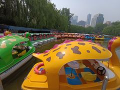 -团结湖公园