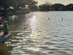 -江心屿景区