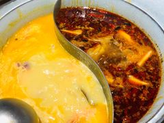 -青瓷火锅料理(西单大悦城店)