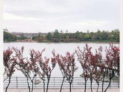 -美兰湖景区