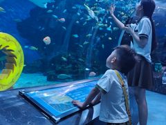 -海合安成都极地海洋公园