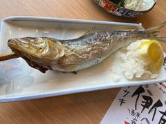 -鰓呼吸(那覇久茂地店)