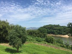 -福建鲤鱼洲酒店