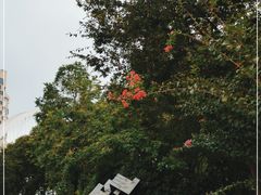 -陈家山荷花公园