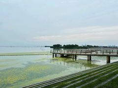 -滆湖低碳生态公园