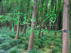 -上海共青森林公园