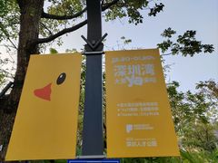 -深圳人才公园