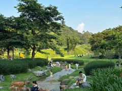 -黄埔油麻山森林公园